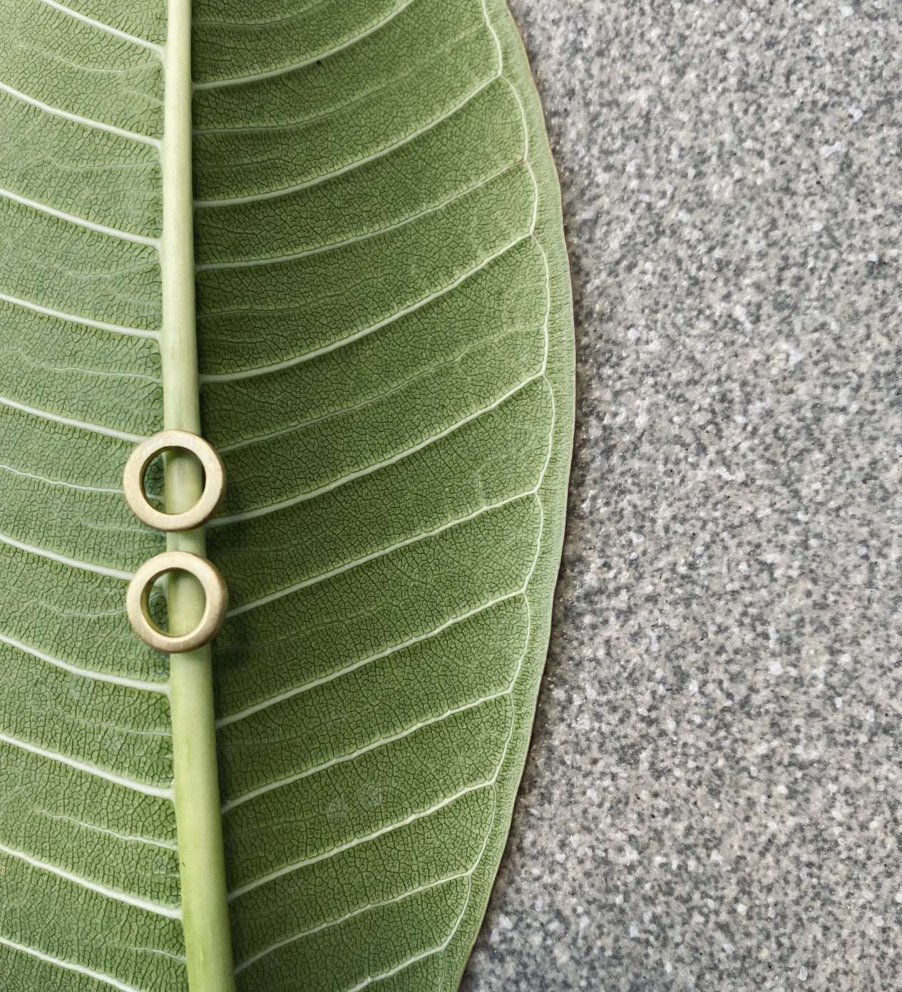 ANI Ohrring | Earring Gold - The Santai Collection