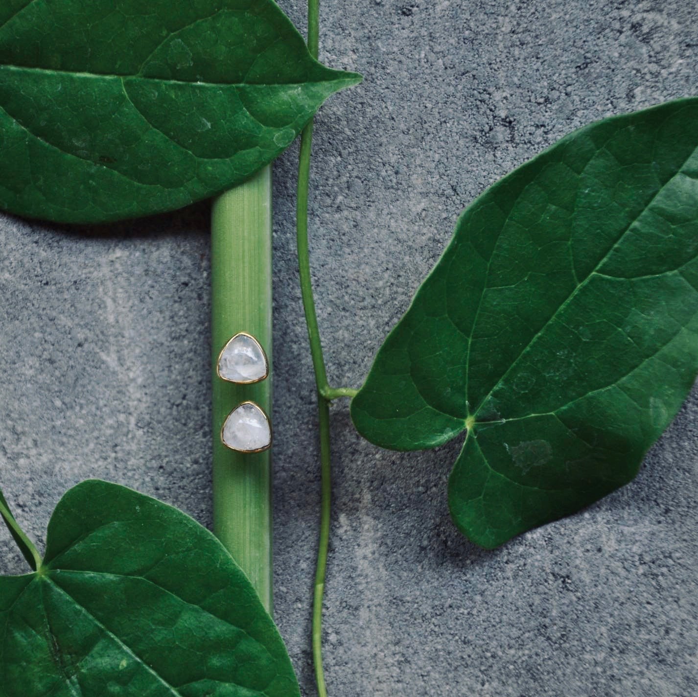 ARYA Mondstein Ohrring | Earring Gold - The Santai Collection