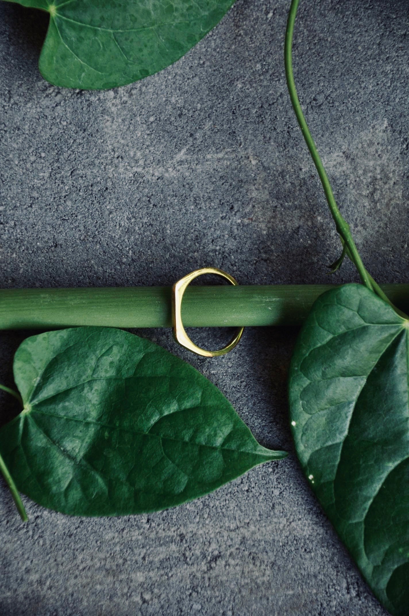 LIA Ring Gold - The Santai Collection