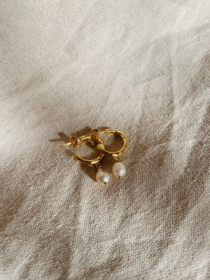 ZIZI Ohrring Perle | Earring Pearl Gold
