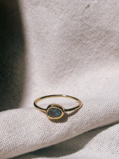 ADE Pāua(Abalone) Ring Gold