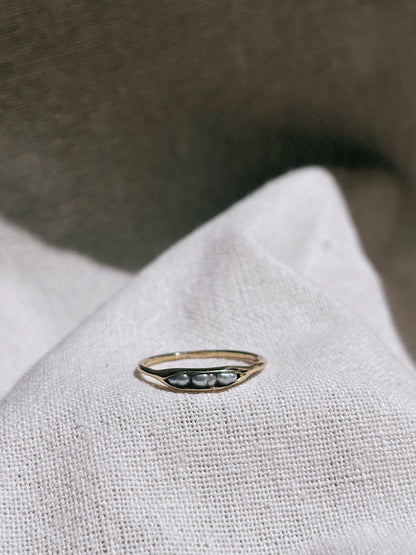 ALINA shiny 3 Perlen eingefasst Ring Gold