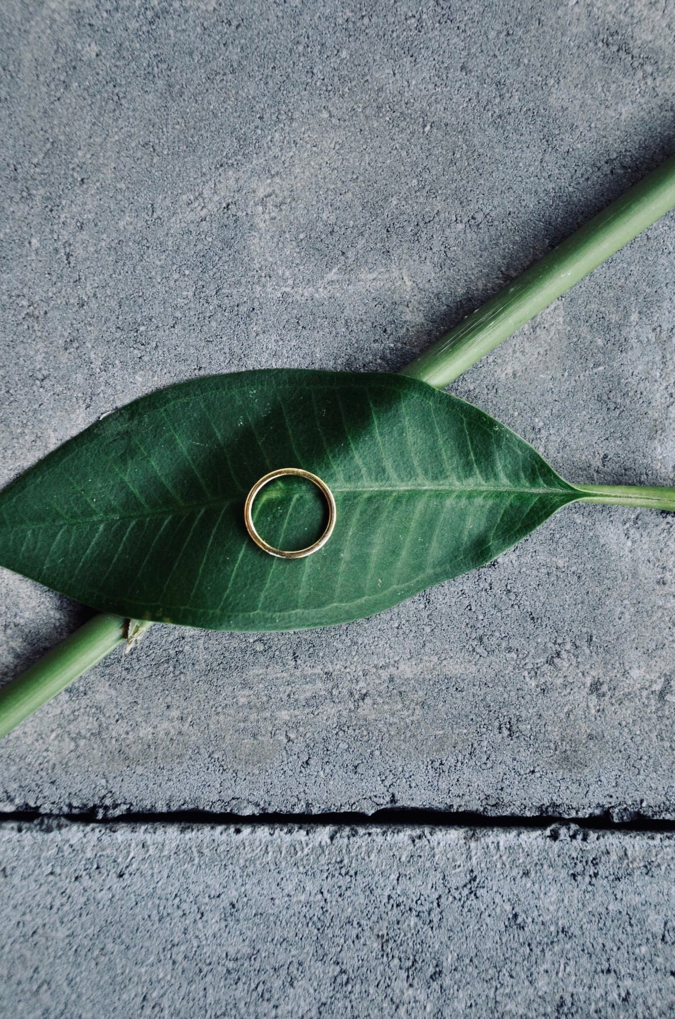 AYU thin GOLD glatt Ring Gold - The Santai Collection