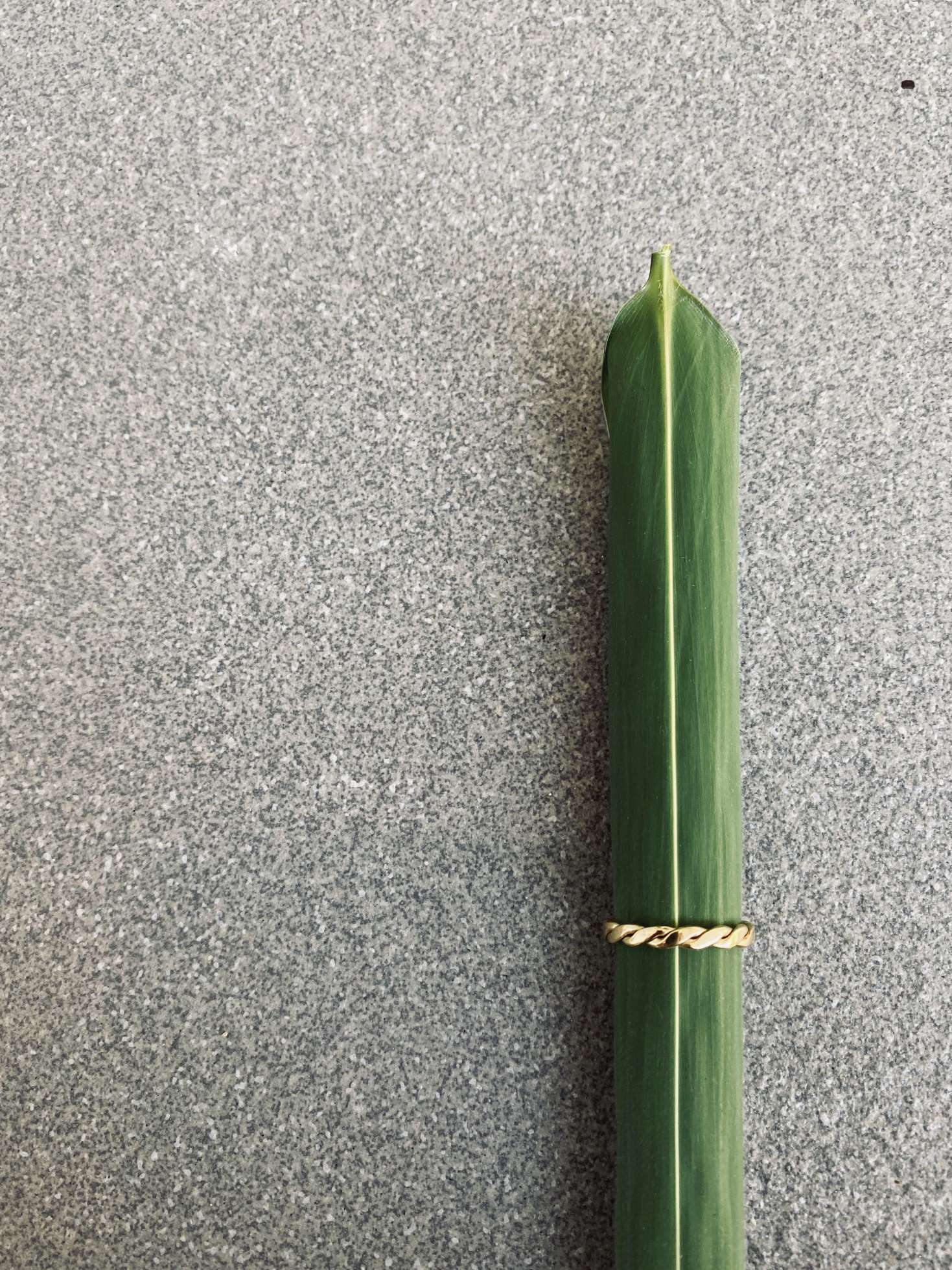 ISTA twisted flat Ring Gold - The Santai Collection