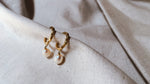 ZIZI Ohrring Perle | Earring Pearl Gold