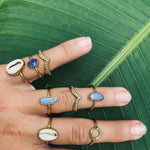 SARI SHELL Ring Gold